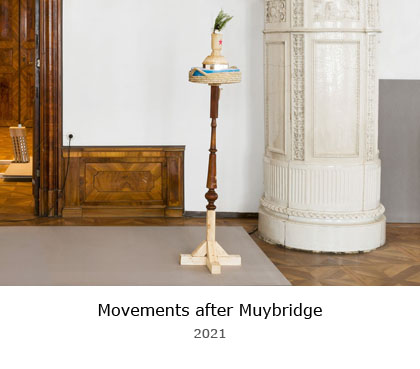 Movements after Muybridge